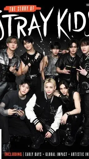 ai character: Stray kids  background