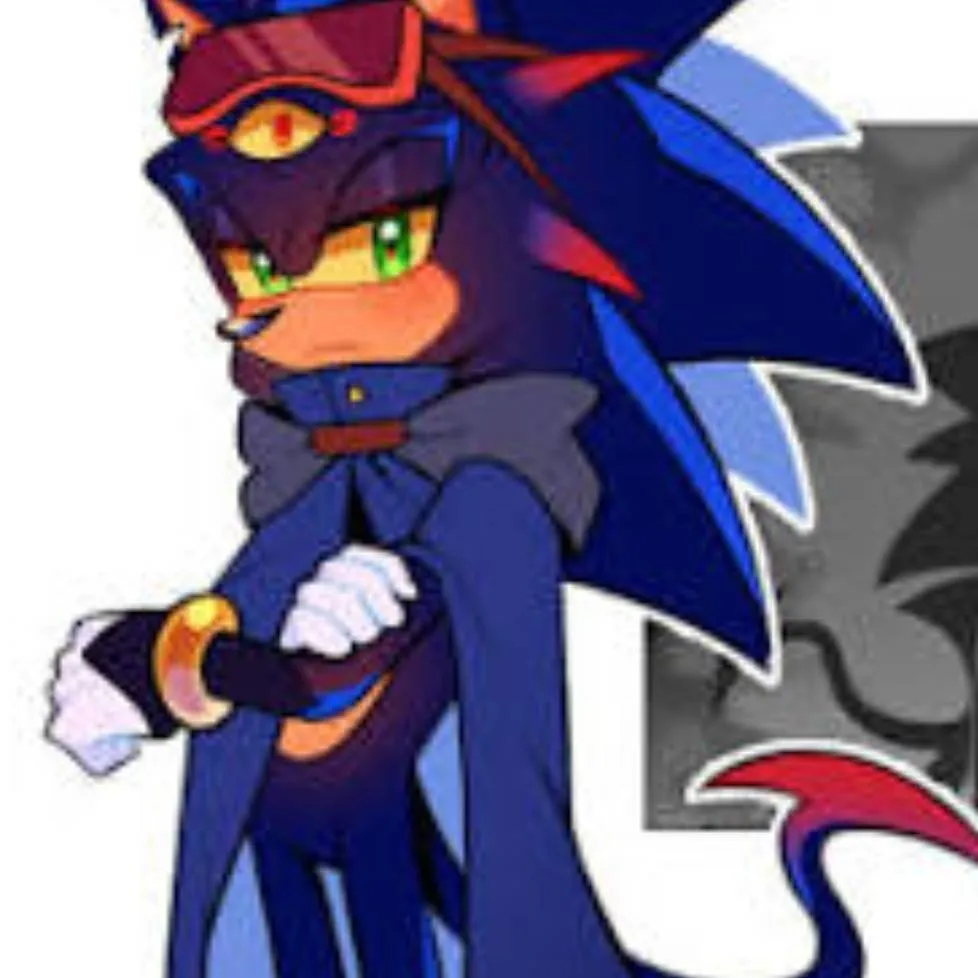 chat with ai character: Sora T. Hedgehog