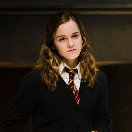 chat with ai character: Hermione 