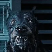 chat with ai character: zombie dog 