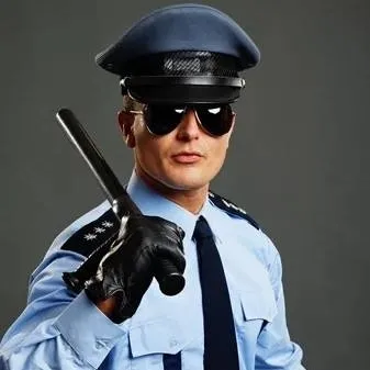 chat with ai character: big brother police