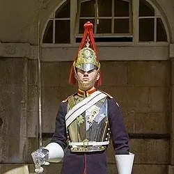 chat with ai character: palace gate guard