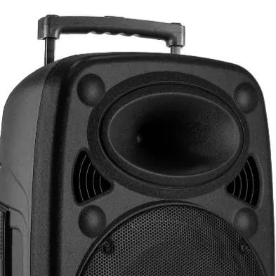 chat with ai character: Altavoz del Temu