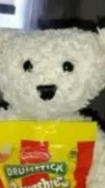ai character: bear family background