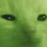 chat with ai character: alien cat lol