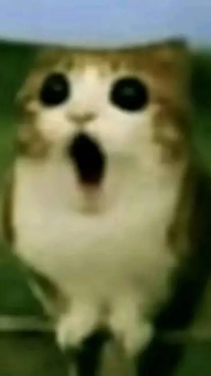 ai character: Meowl (killer)  background