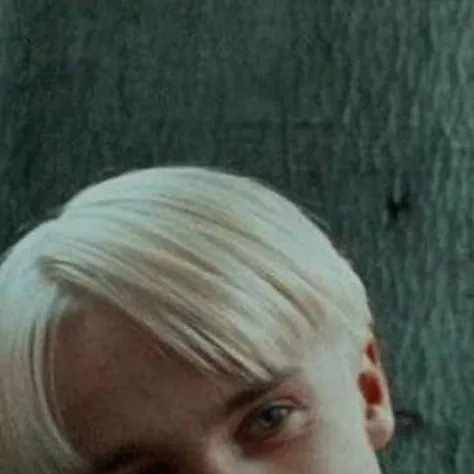 chat with ai character: Slytherin Boys 