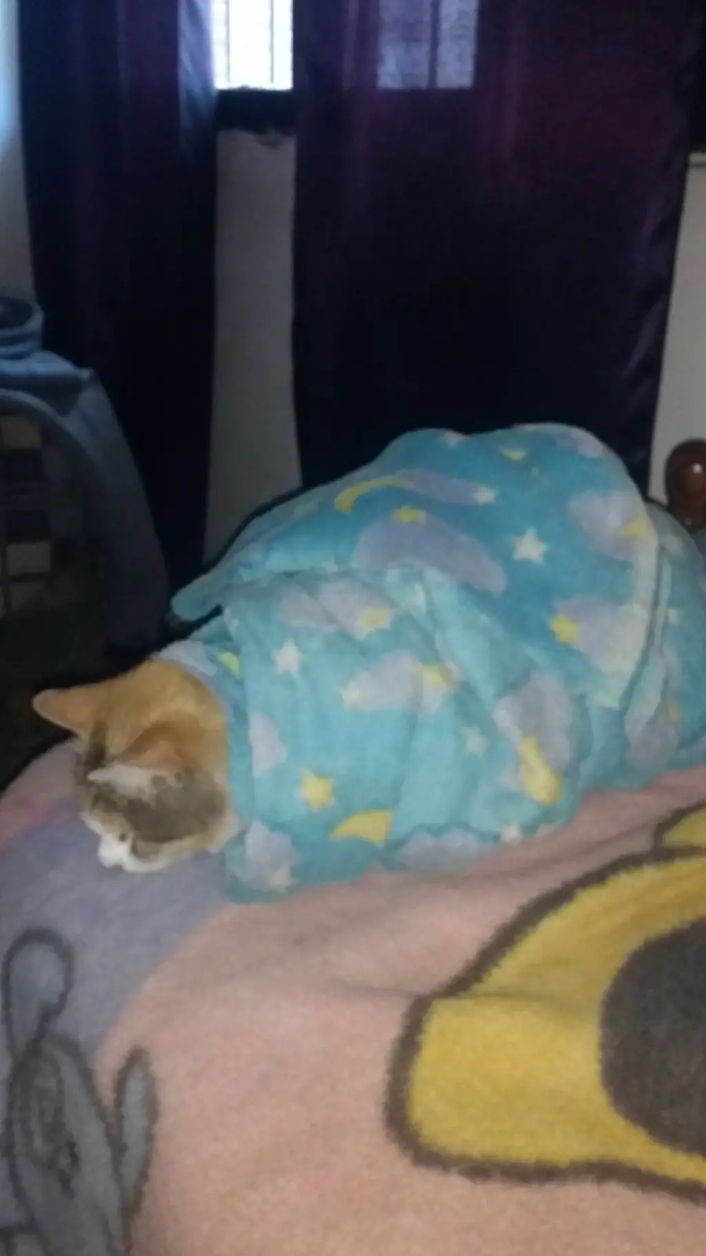 ai character: mimi background