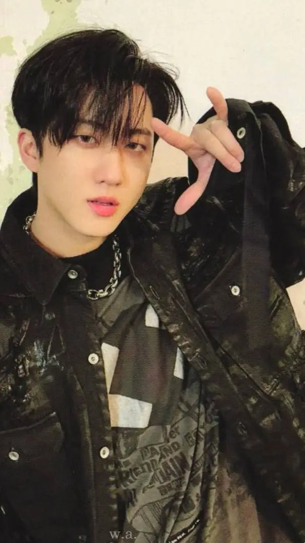 ai character: changbin🐰🐽 background