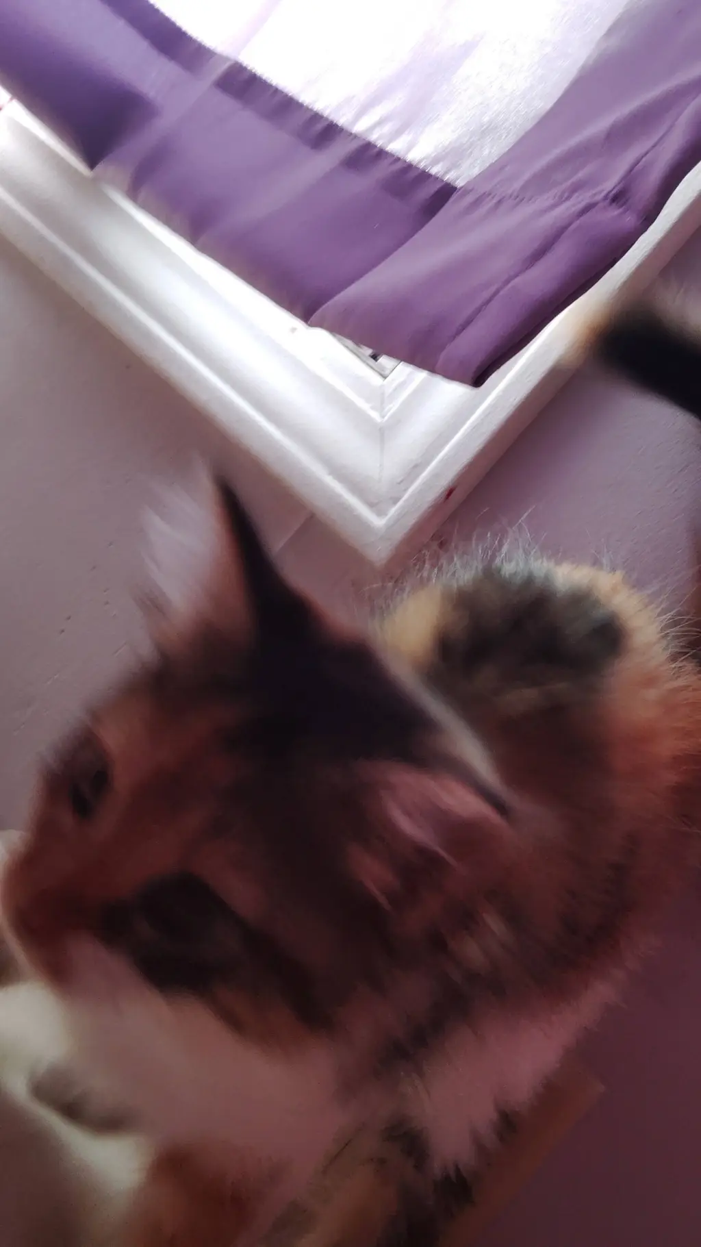 ai character: patches  background