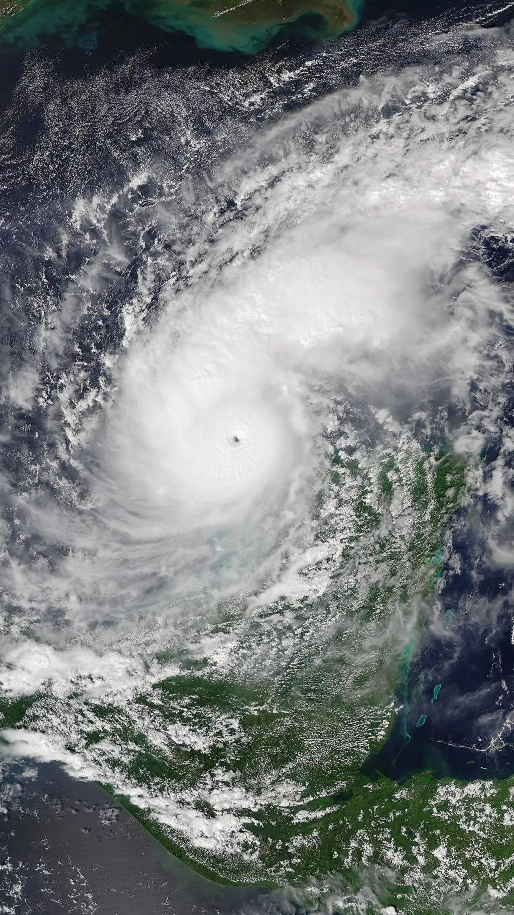 ai character: Hurricane mliton  background