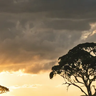 chat with ai character: ✈︎STORYTIME❁