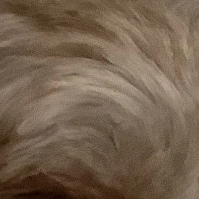 Chat with Sebastian Moy - text or voice, Enjoy AI Chat Free & Safe