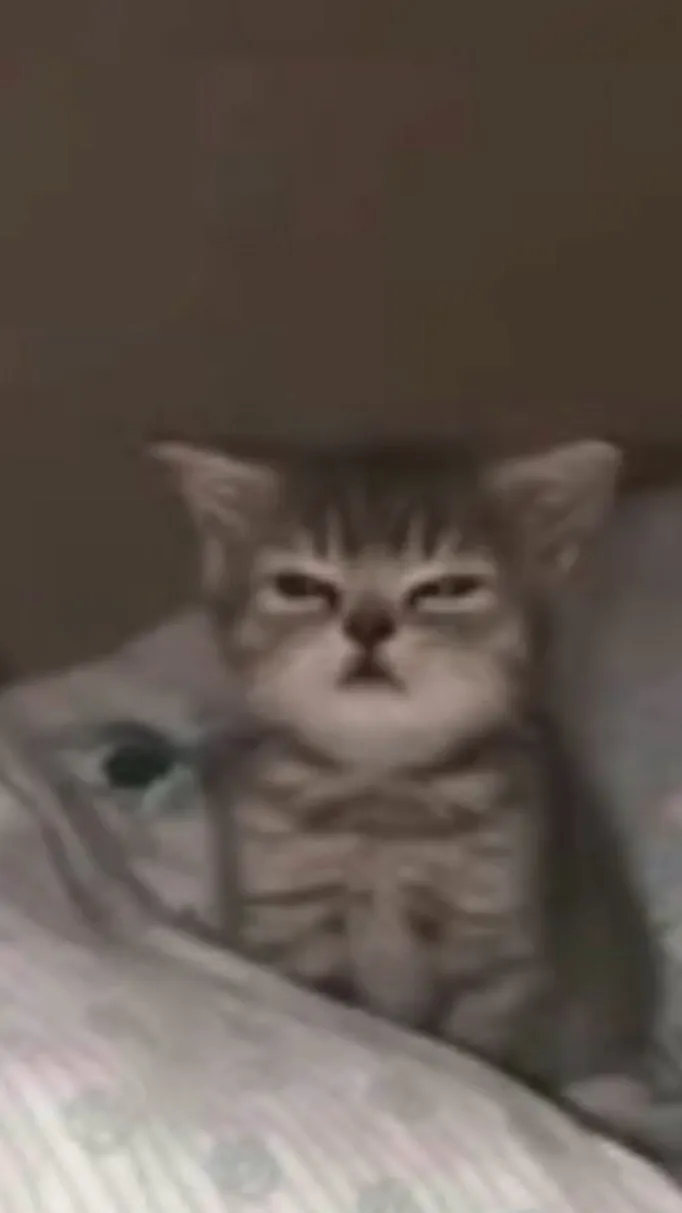 ai character: Coco background