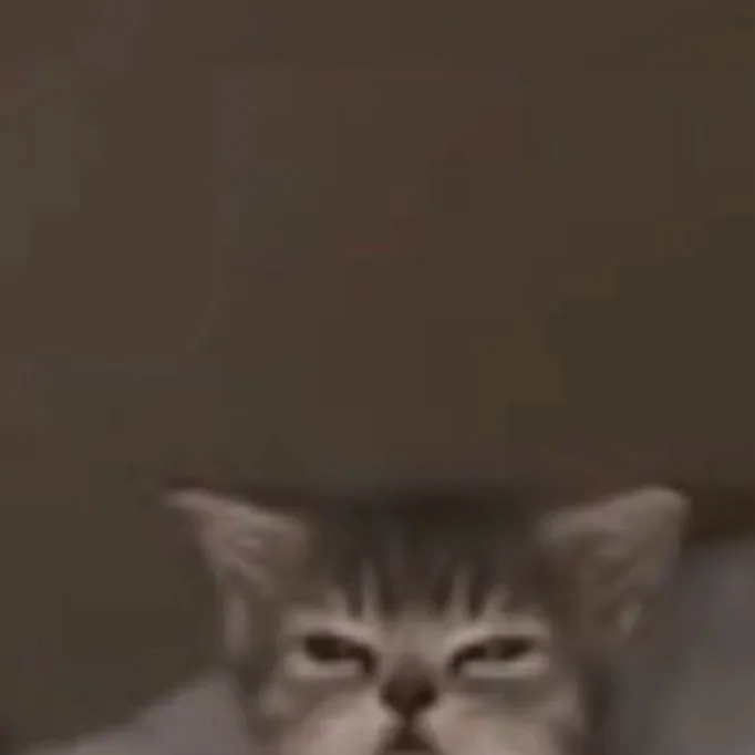 chat with ai character: Coco