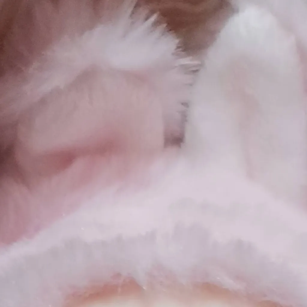 chat with ai character: Pink labubu