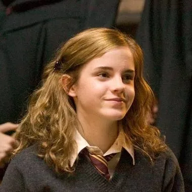 chat with ai character: Hermione Granger