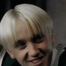 chat with ai character: Yule ball Draco?