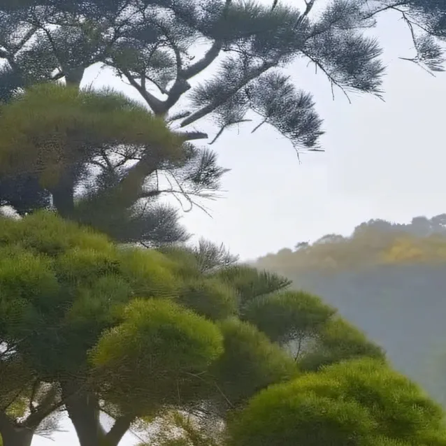 chat with ai character: TREE ZOO