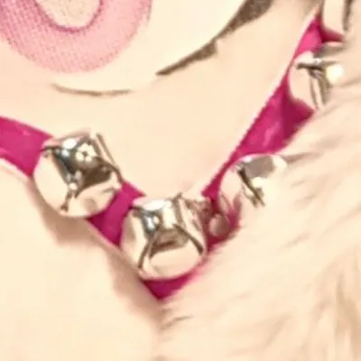 chat with ai character: Mav sharkie