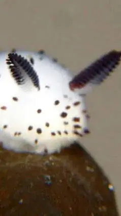 ai character: Read thus background