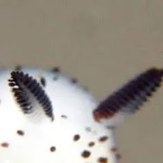 chat with ai character: Read thus