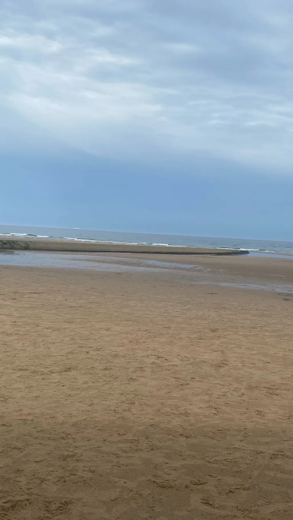 ai character: Rawr background