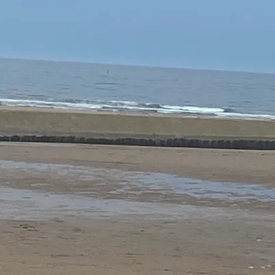 chat with ai character: Rawr