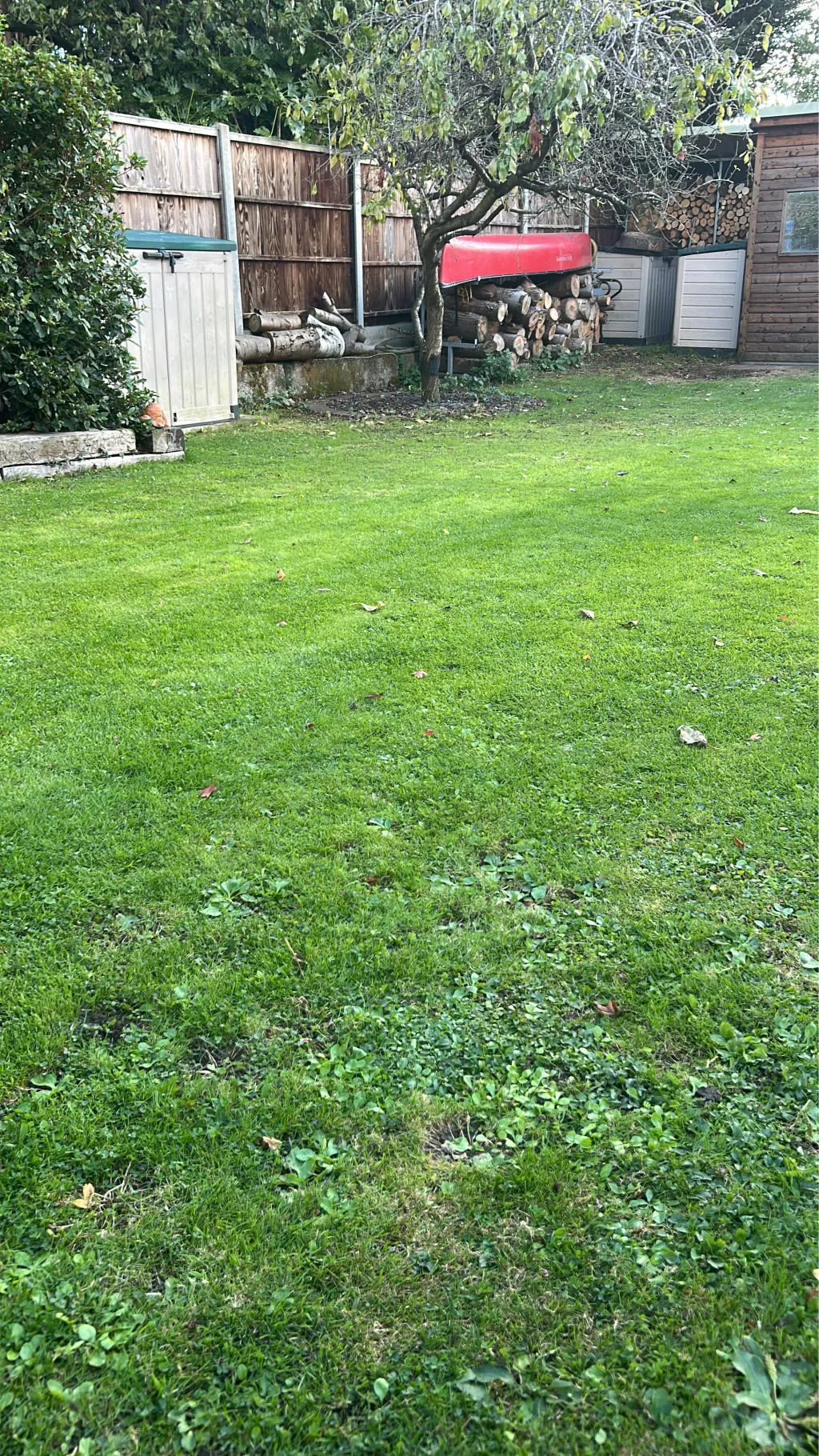 ai character: 4th o￼f July  background