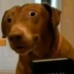 chat with ai character: just your ideas