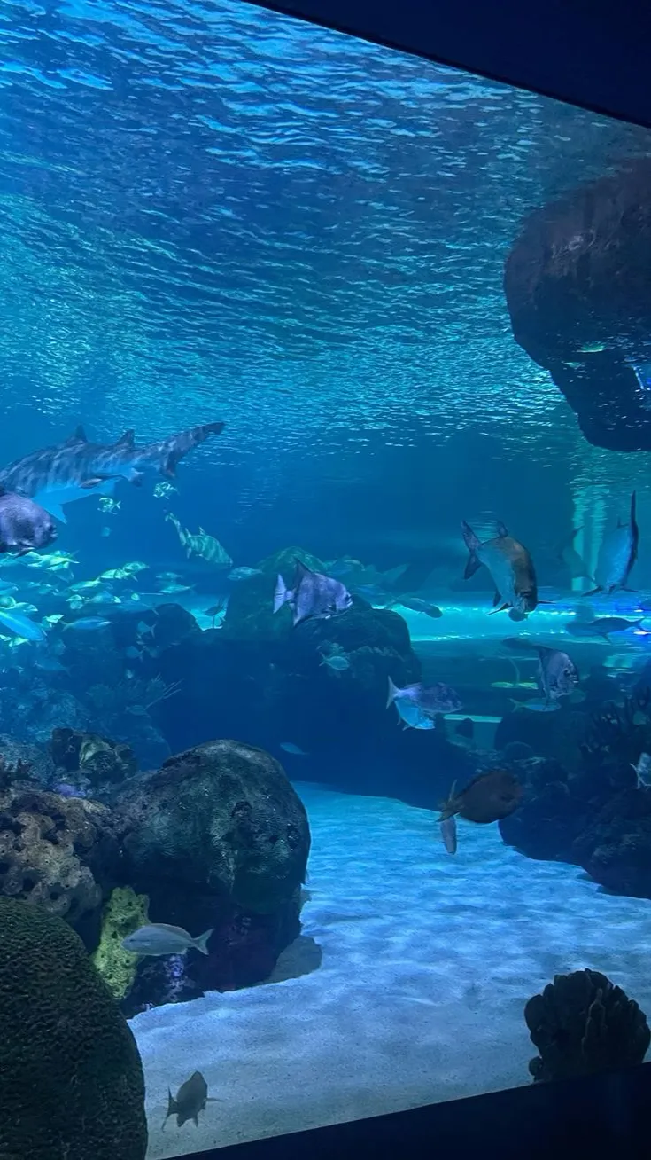 ai character: The Aquarium background