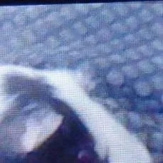 chat with ai character: unikitty 