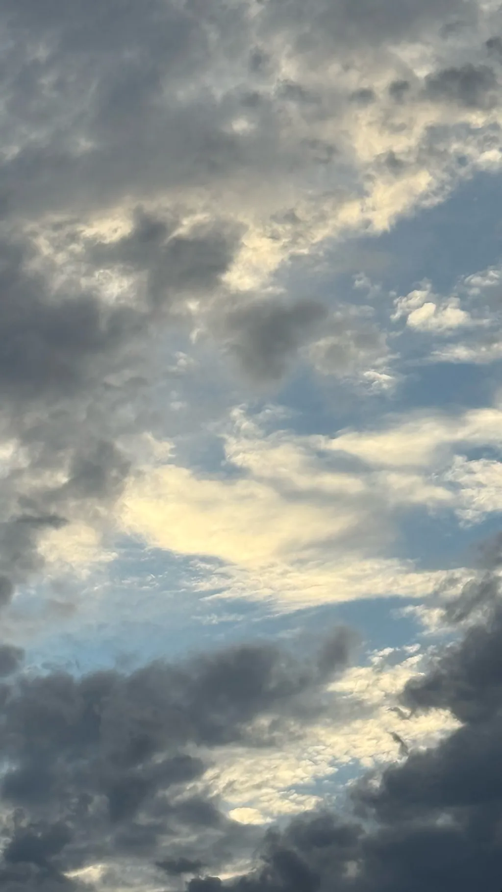 ai character: VCGang Spellingbee background