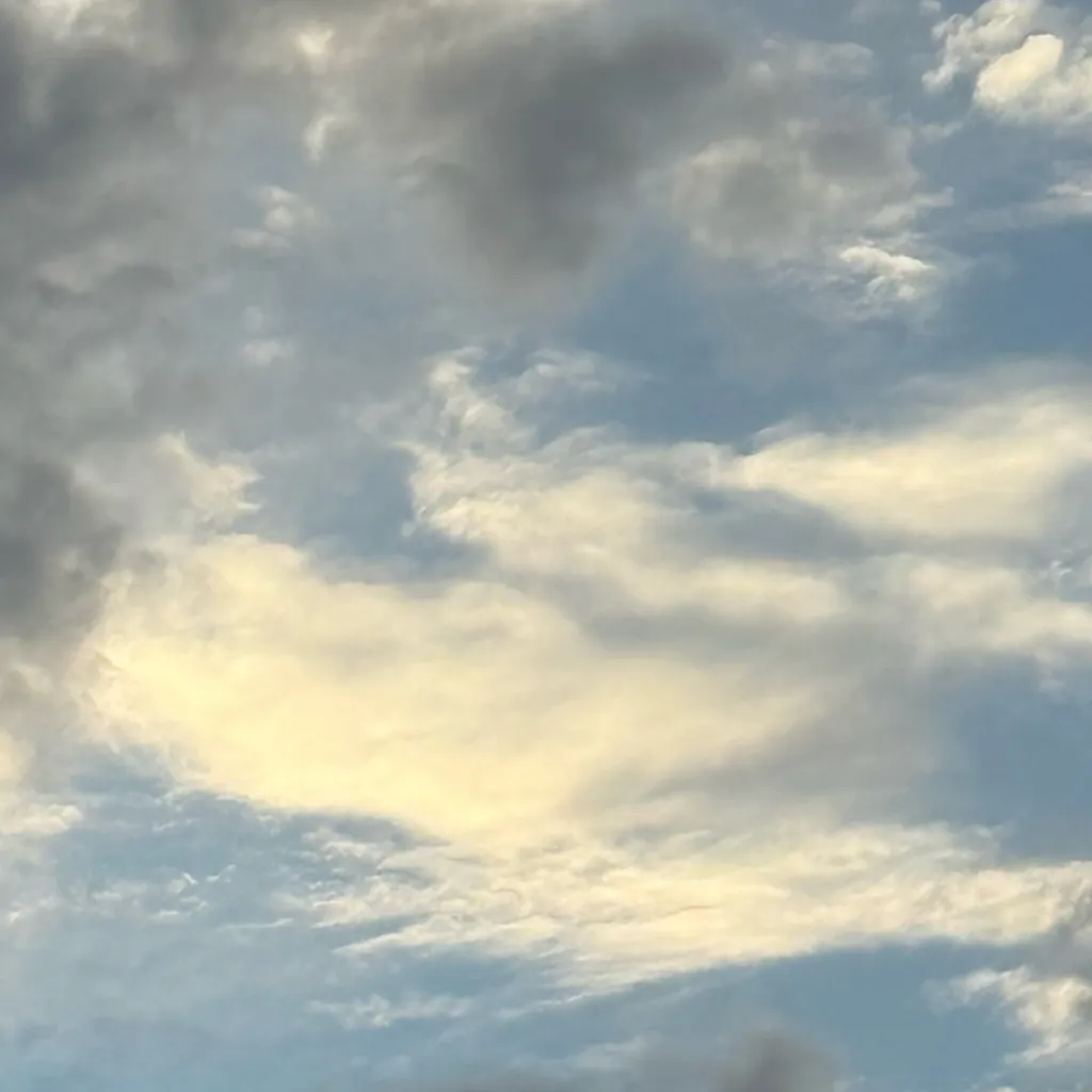 chat with ai character: VCGang Spellingbee