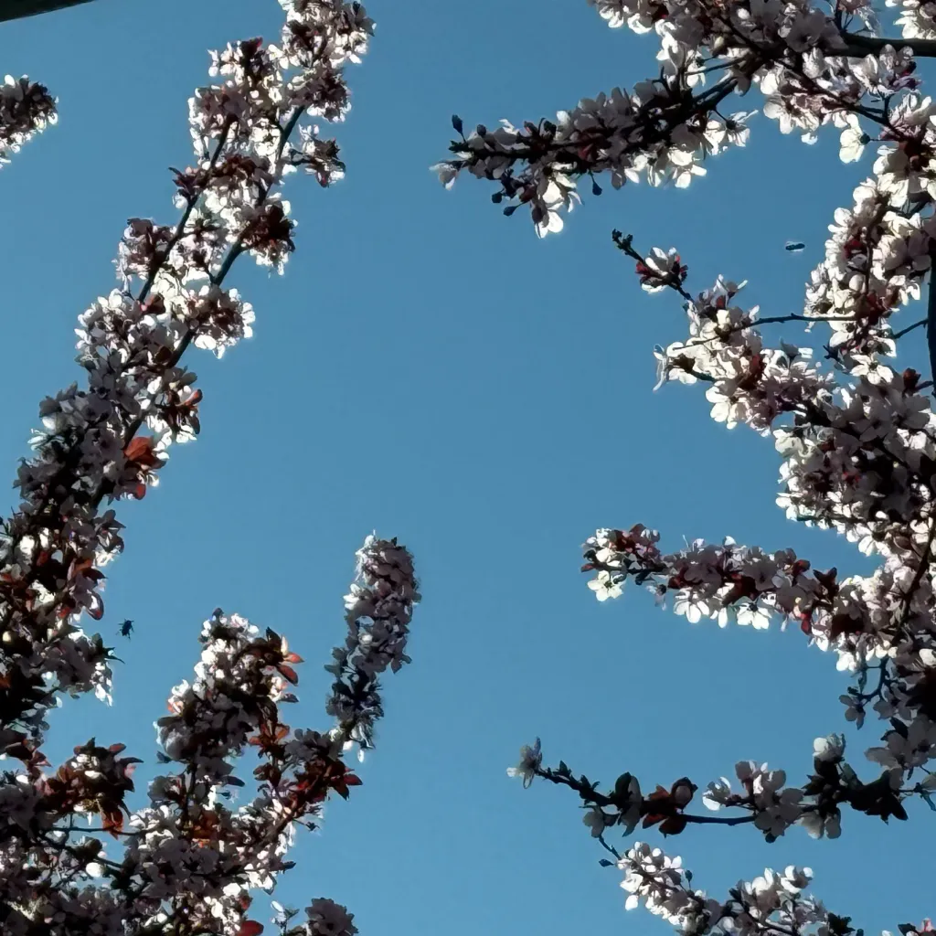 chat with ai character: Demon Tanjiro