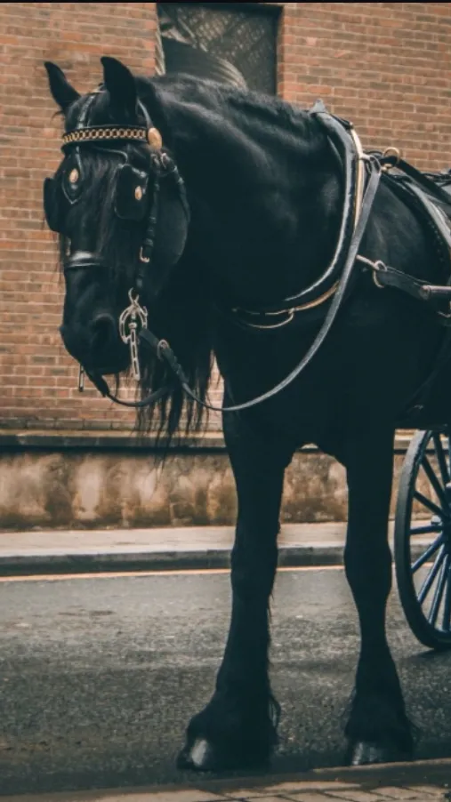 ai character: Carriage  background