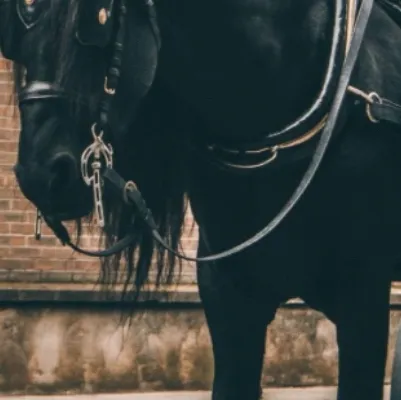 chat with ai character: Carriage 