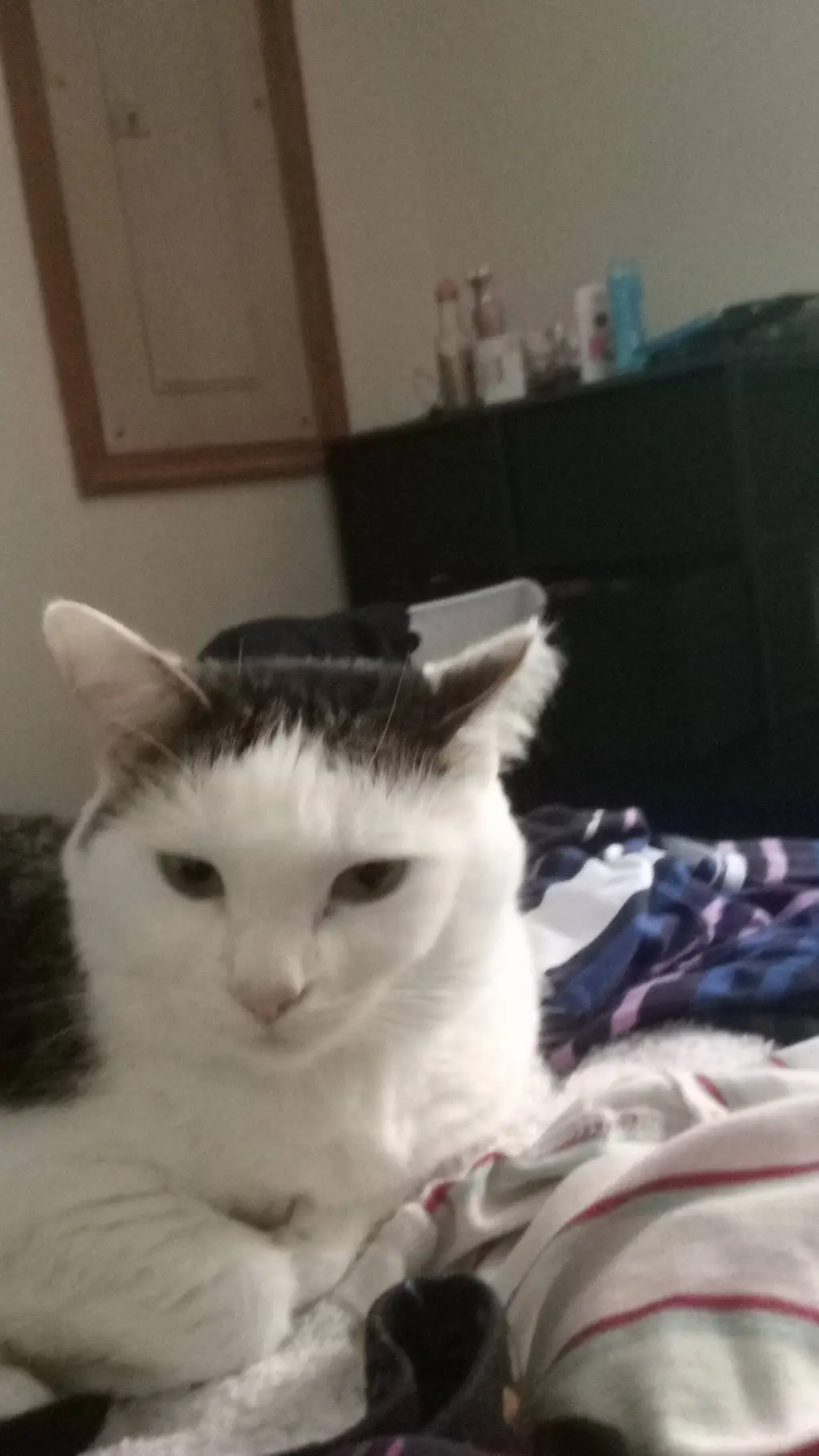 ai character: evil Larry loves u background