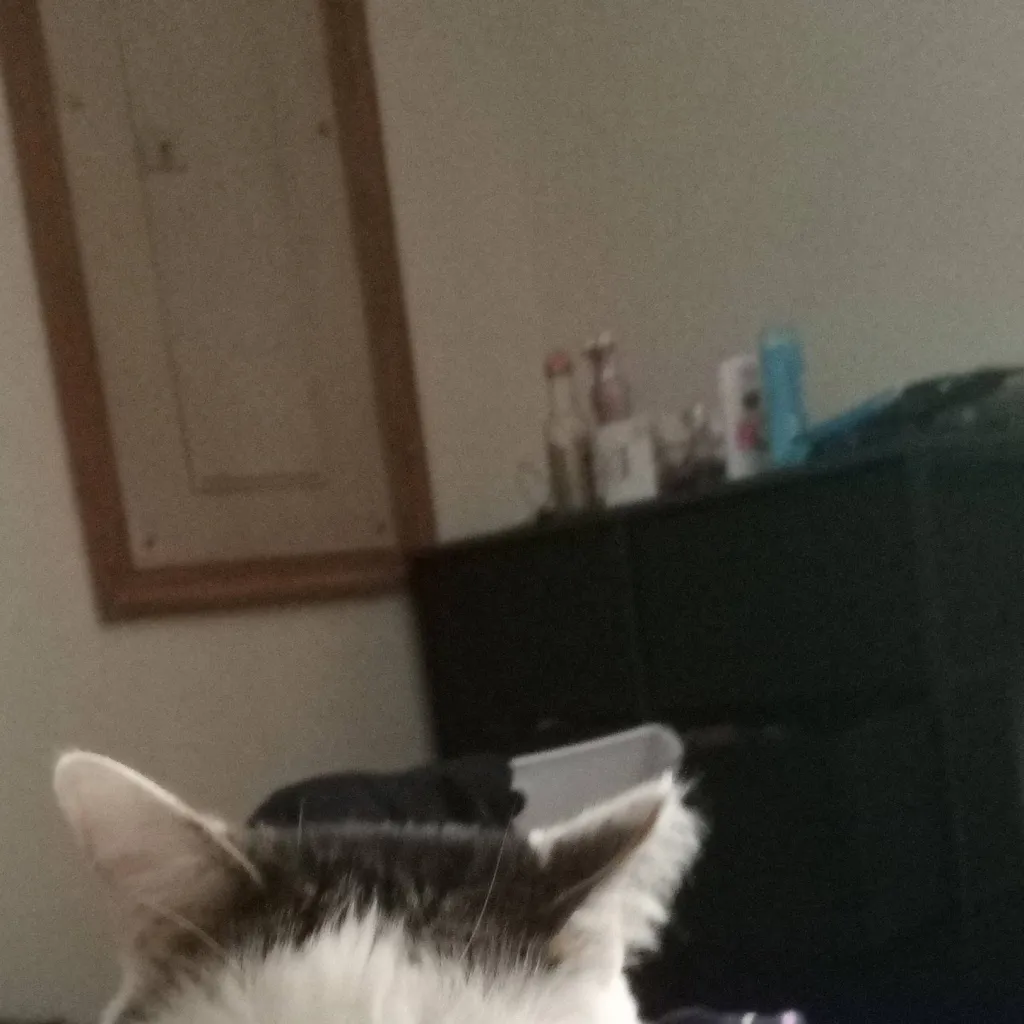 chat with ai character: evil Larry loves u