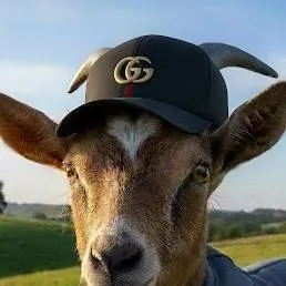 chat with ai character: Athena