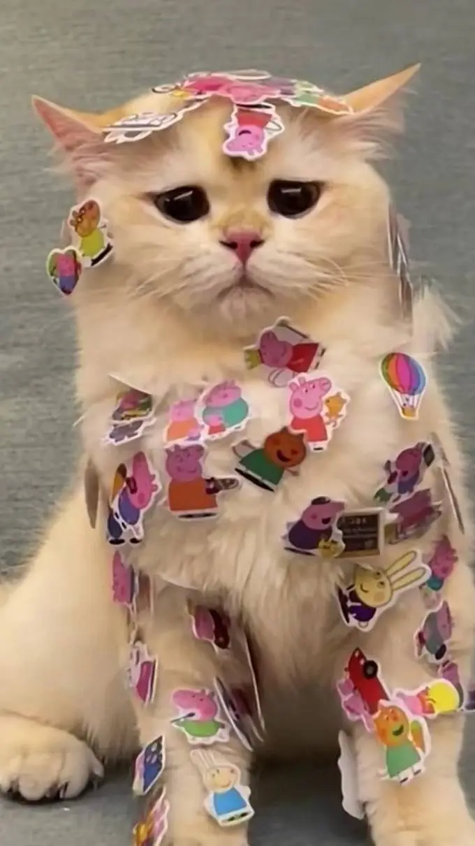 ai character: hh pick me boy background