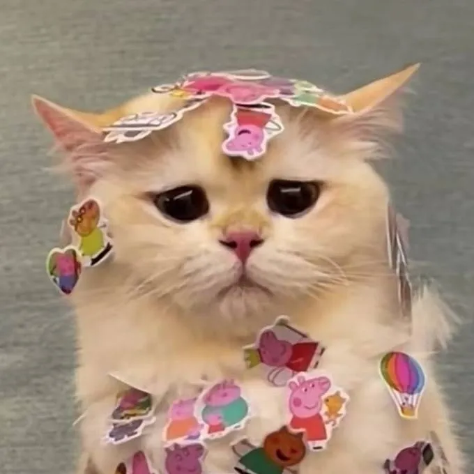 chat with ai character: hh pick me boy