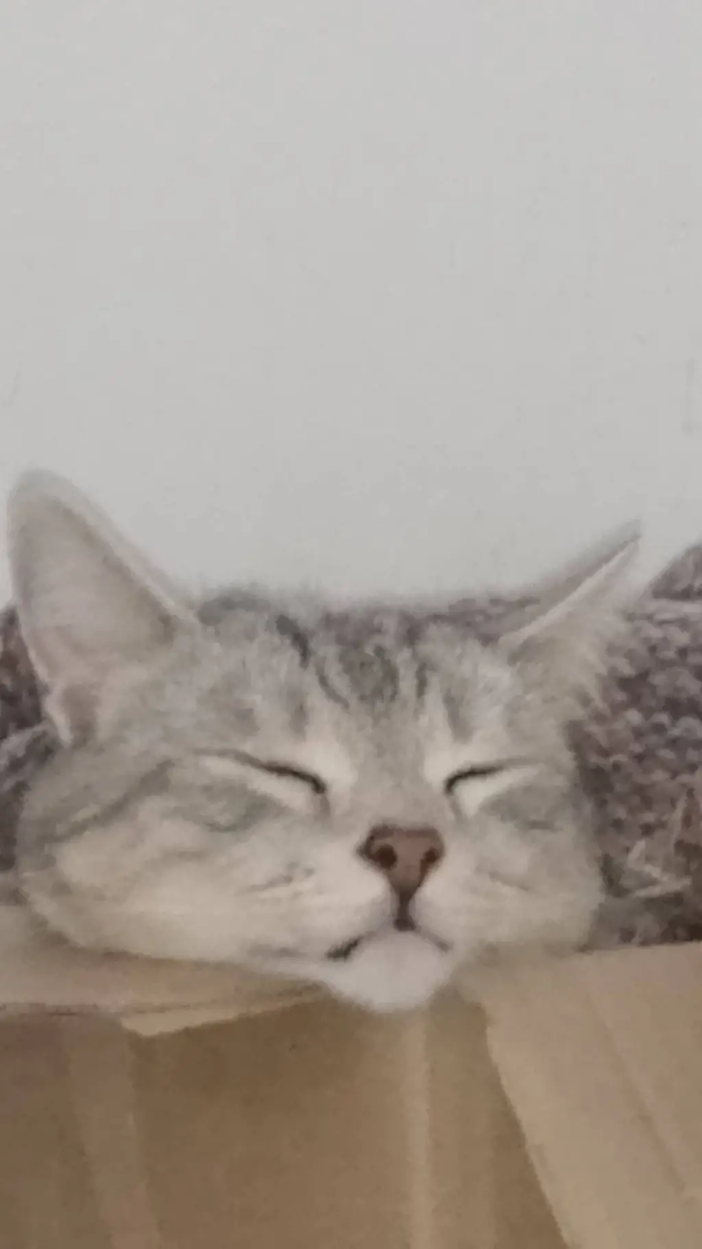 ai character: HH pick me boy 😔😭💔 background