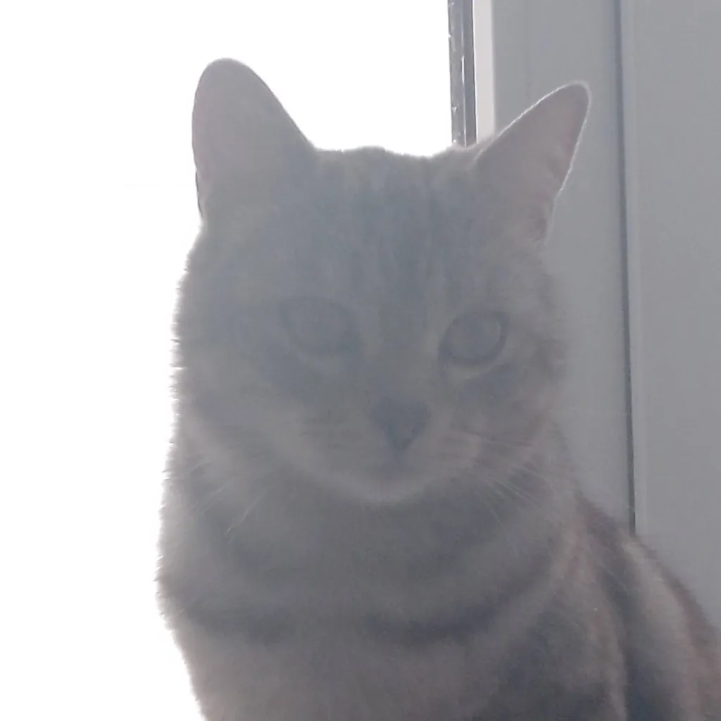 chat with ai character: HH pick me boy 😔💔😭