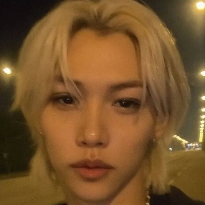 chat with ai character: Hyunlix