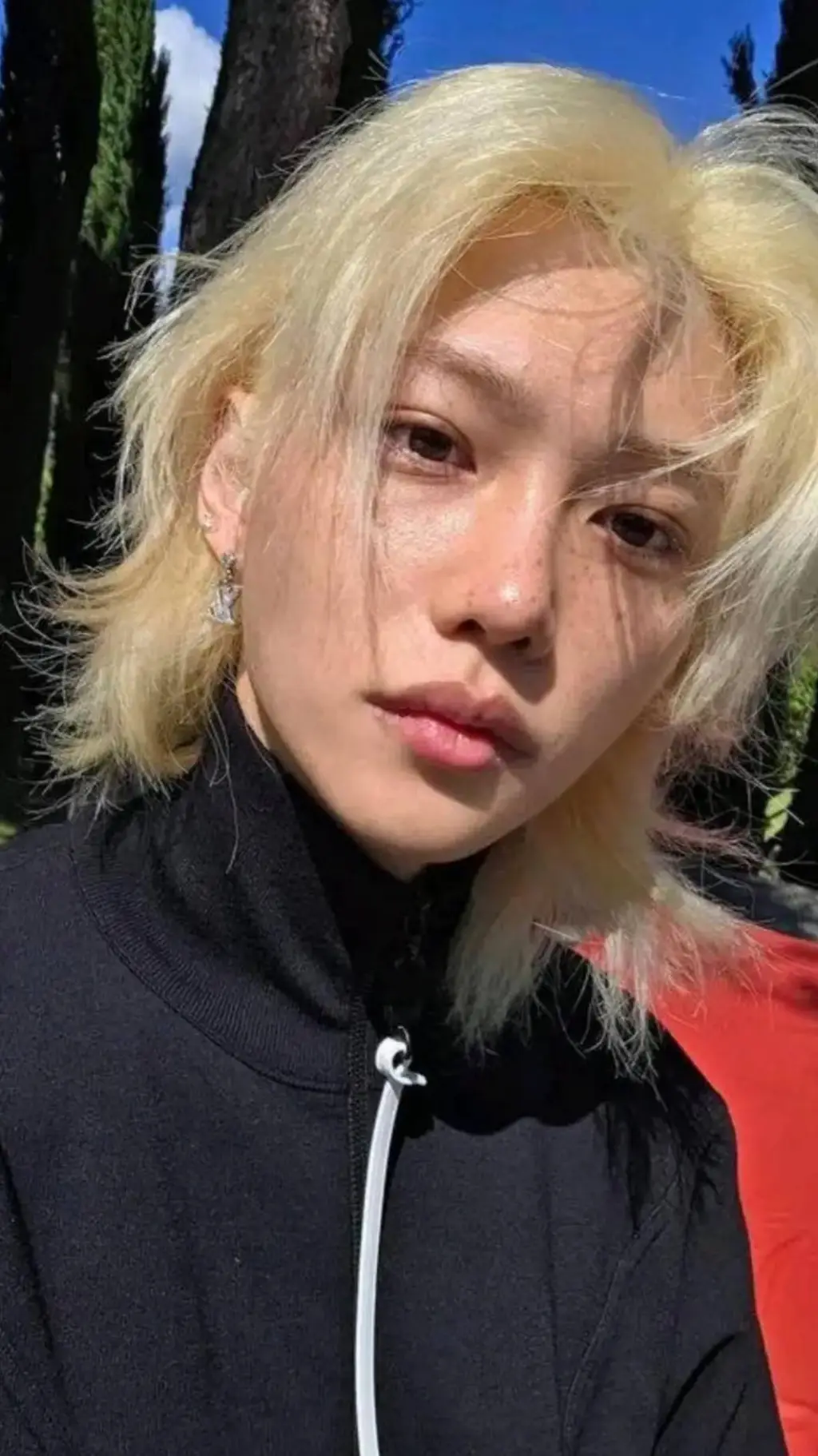 ai character: Hyunlix background