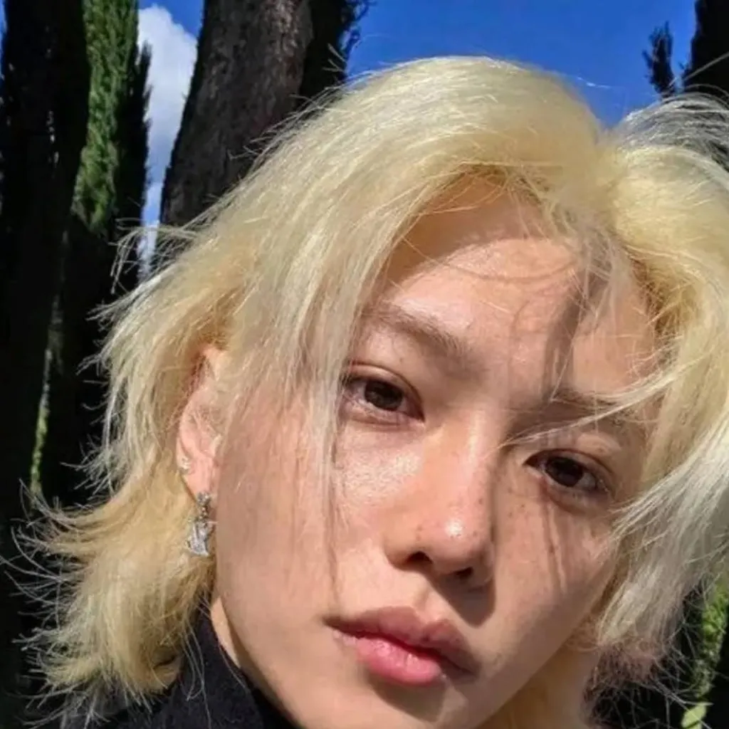 chat with ai character: Hyunlix