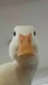 ai character: forsaken hates u! background