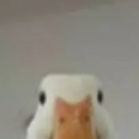 chat with ai character: forsaken hates u!