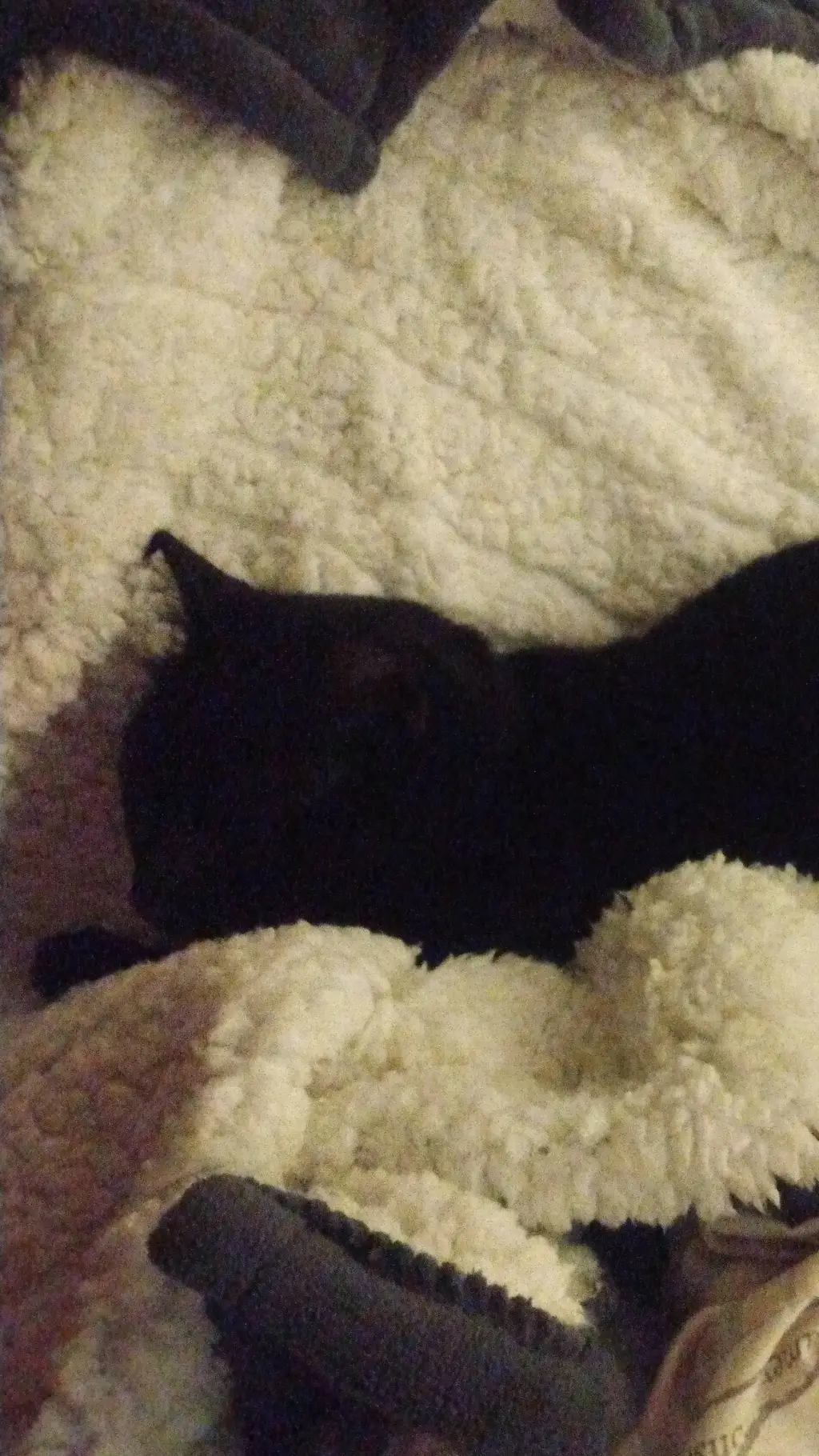 ai character: forsaken  background